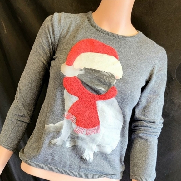 Pug sweater - Picture 4 of 4